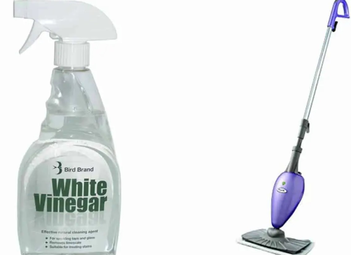 Can I Put Essential Oils in My Steam Mop Know Detail