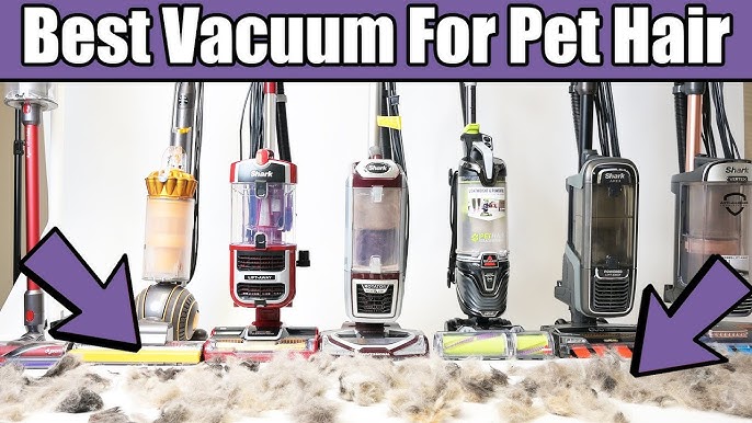 Which Vacuum Cleaner is Best for Pet Hair