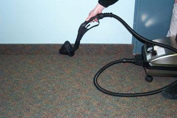 Will a Steam Cleaner Kill Bed Bugs