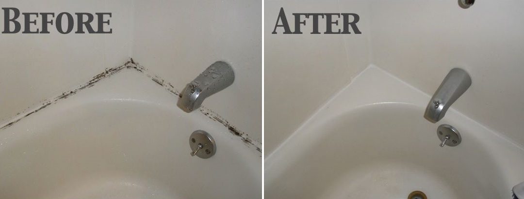 Will Steam Cleaner Kill Mold in Shower