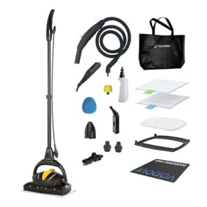 Euroflex Steam Mop Review